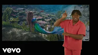 Under the Sea (From "The Little Mermaid"/British Sign Language Version)