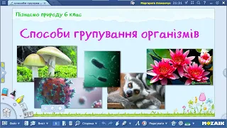 Пізнаємо природу 6 клас НУШ Способи групування організмів