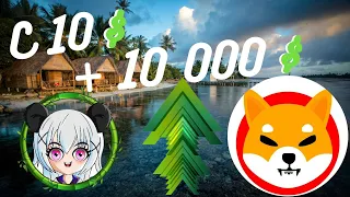 ГОТОВНОСТЬ 1.0 | CИБО ИНУ. СИБО ИНУ ПРОГНОЗ. СИБО ИНУ КРИПТОВАЛЮТА. PANDA GIRL. panda girl token.