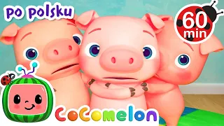 Trzy małe świnki | Cocomelon 🍉 Bajki i piosenki dla dzieci po polsku