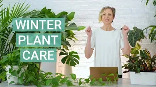 Winter Plant Care Tips