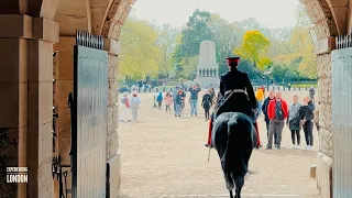 CAPTAIN SURPRISE TOURISTS RIDING HIS MAJESTIC HORSE AT HORSE GUARDS | Horse Guards, Royal guard