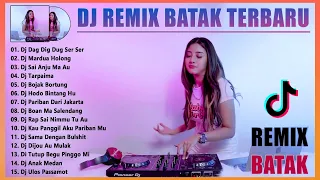 Dag Dig Dug Ser Ser ~ Dj Remix Batak Terbaru 2022 ~ Dj Remix Batak Terpopuler Enak Didengar