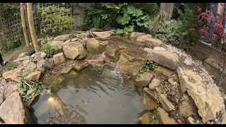 Building an Ecosystem Pond with Self-Maintaining Filtration!