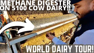 Manure Management and Methane Gas Collection on 5100 Cow Dairy!! (Part2)