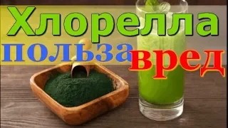 Хлорелла полезные свойства и противопоказания. Как принимать