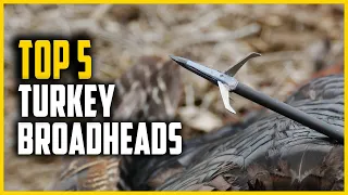 Top 5 Best Broadheads for Turkey in 2024