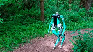 DIE 8 COOLSTEN HUMANOIDEN ROBOTER, DIE MAN GESEHEN HABEN MUSS