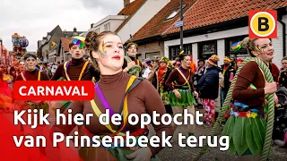 KIJK TERUG: Optocht in Boemeldonck | Omroep Brabant