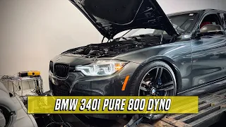 PURE 800 BMW 340I DYNO SESSION - 93 Octane Tune Only!