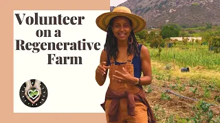 Volunteer on a REGENERATIVE FARM