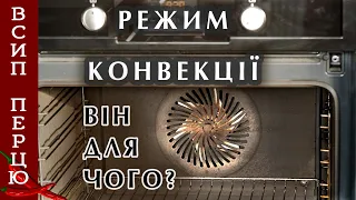 Конвекція в електричній духовці. Навіщо використовувати і коли уникати?