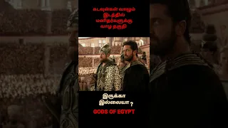 Gods of Egypt 2016|Movie Explained in Tamil|#shorts