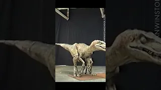 Velociraptor test for Jurassic Park (1993)