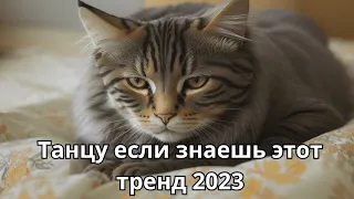 💗ТАНЦУЙ ЕСЛИ ЗНАЕШЬ ЭТОТ ТРЕНД 2023💗