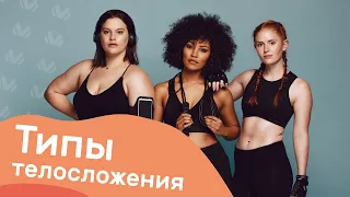 Типы телосложения. Эндоморфы, мезоморфы и эктоморфы 🏋🏻‍♀️