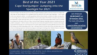 Conservation Conversations: Dr Krista Oswald - Bird Of The Year 2021: Cape Rockjumper (19Jan21)