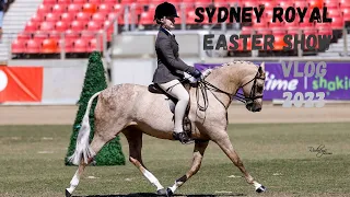 Sydney Royal Easter Show 2023 | equestrianemmy | #equestrian