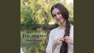 Гей, соколи!