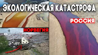 Катаклизмы и происшествия в мире ! Экологическая катастрофа Норильск ! 4 июня 2020  Climate change !