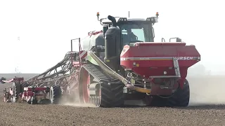 FENDT 1167 MT, HORSCH FOCUS  - Ausssaat 2022 / sowing 2022