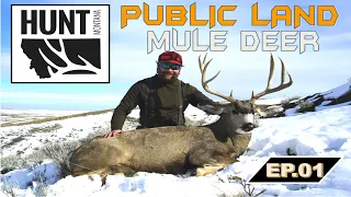 Hunt Montana - Public Land Mule Deer  EP 1