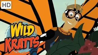 Wild Kratts - Spread Your Little Wings 🦋🦇 | Kids Videos