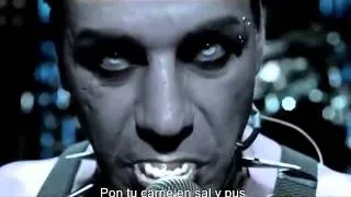 Rammstein Ich tu dir weh  Sub español