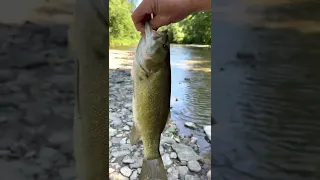 Fishing in Conneaut Creek! (3D footage included)