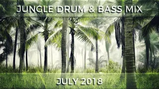 ► Jungle Drum & Bass Mix - July 2018