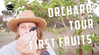 Homestead Orchard Tour 10th October 2020 | PLUS our biggest regret!