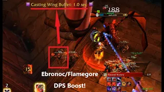 Boost DPS without pulling threat on Ebronoc and Flamegore! Eat the Wing Buffet - Classic WoW - BWL