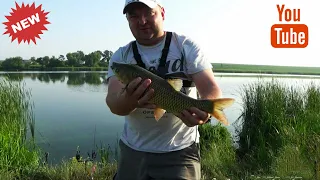 Рибалка в липні☀️ Спека продовжується