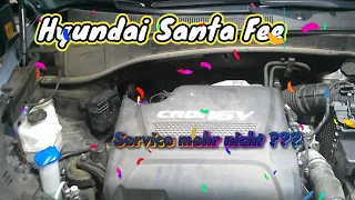 Hyundai SantaFee III 🧚‍♀️