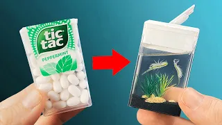 TIC TAC AQUARIUM WITH REAL ANIMALS!