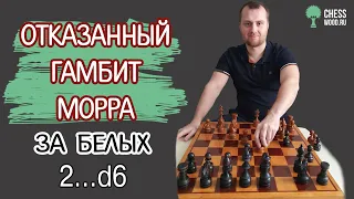 Отказанный гамбит Морра за белых с ходом черных 2...d6