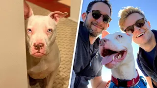 Nobody visited deaf shelter dog. Then she met two dads.