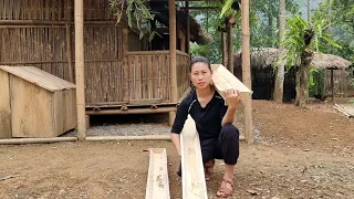 Gardening & Pet Care | daily work on the farm | Dang Thi Mui
