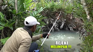 Kaya mimpi !!! Gerimis datang pemancing kebanjiran ikan #SG-350