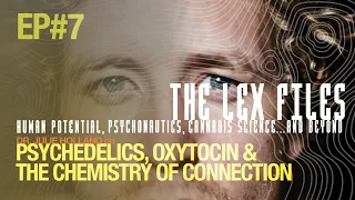Julie Holland on Psychedelics & the Chemistry of Connections | The Lex Files
