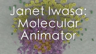 Interview with Molecular Animator Dr. Janet Iwasa
