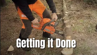 Husqvarna 435 chainsaw - Getting it Done - Felling Trees in Sequence