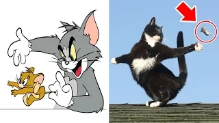 TOM AND JERRY Characters In Real Life | All Characters 2017