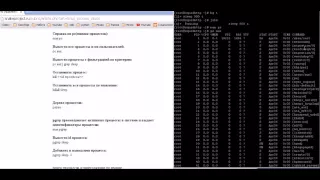 Управление процессами в Linux