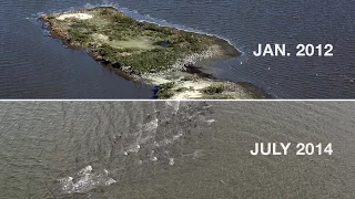 The Gulf Oil Spill Disintegrated This Island | National Geographic