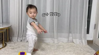 13개월아기 첫걸음마👶🏻 | 걸음마 하게되는 과정 | 걸음마 시기 | 알감자 한발짝 떼고 걸음마 하다❤️