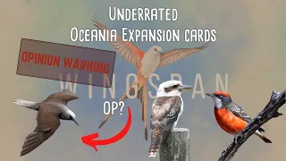 WINGSPAN: Top 10 Underrated Oceania Expansion Birds