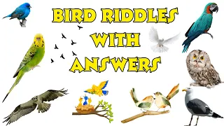 BIRD RIDDLES WITH ANSWERS - 1 #birdriddles #animalriddles