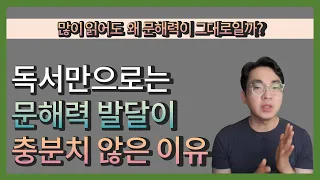 많이 읽어도 왜 문해력이 그대로일까? 독서만으로는 문해력 발달이 충분치 못한 이유