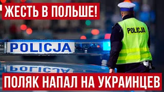 В Польше заказал еду у украинцев и вот что получилось!